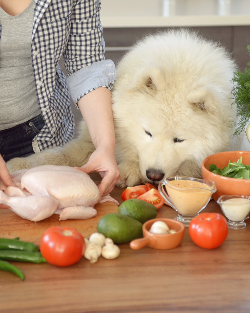 Un chien renifle ce que son humain est en train de cuisiner. Des légumes et de la viande sont sur la table pour préparer de délicieuses friandises pour chien.