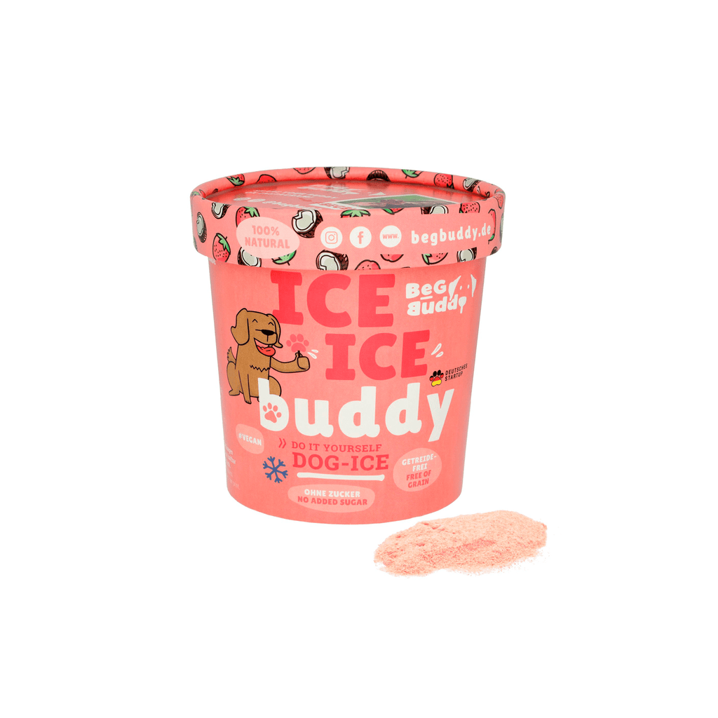 glace coco fraise pour chien