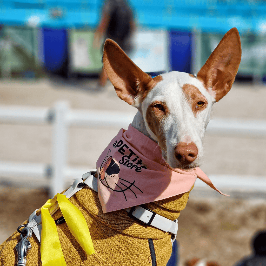 bandana rose pour chiens