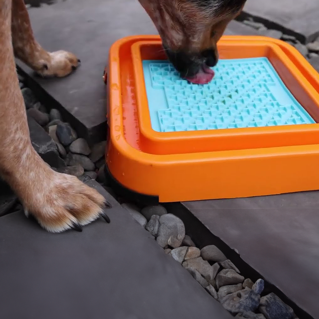lickimat keeper outdoor pour chiens