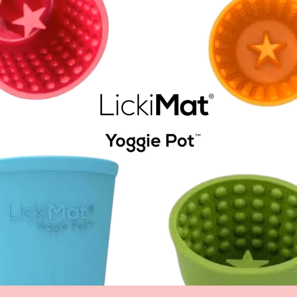 lickimat yoggie pot pour chiens