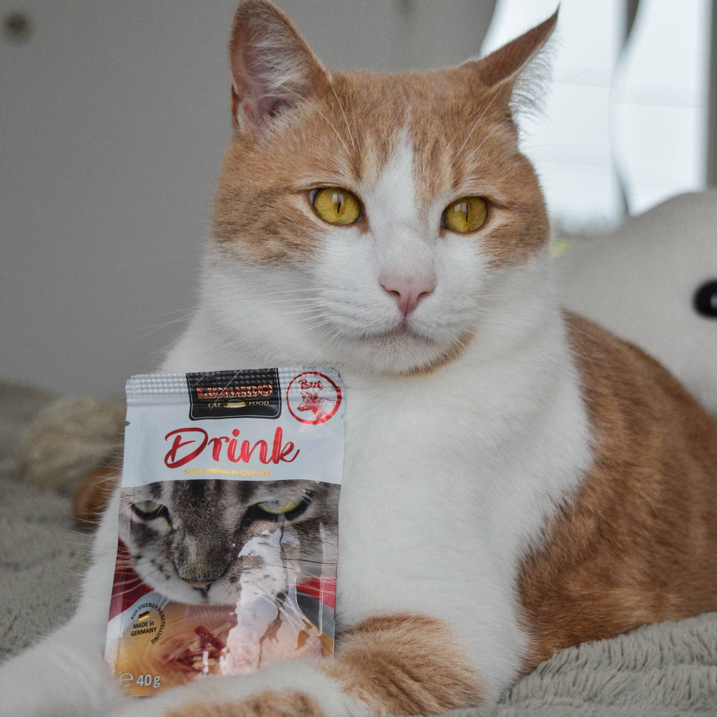 Bouillon de viande DRINK – Boisson pour chat 40g - aPETite Store