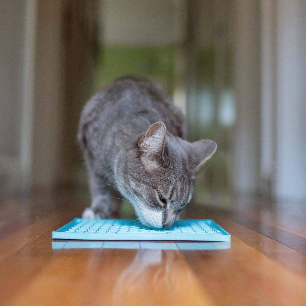 tapis de léchage buddy pour chat