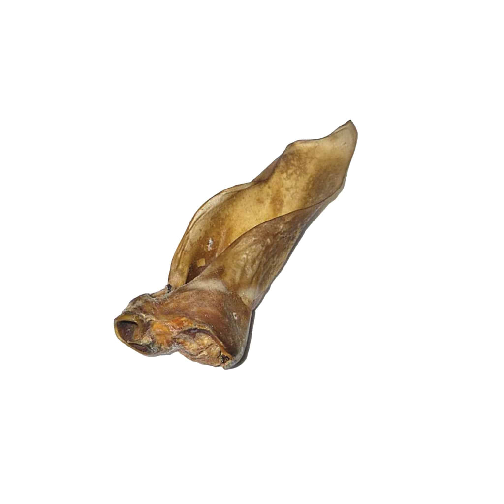 Oreille de cerf – 3 pièces - aPETite Store