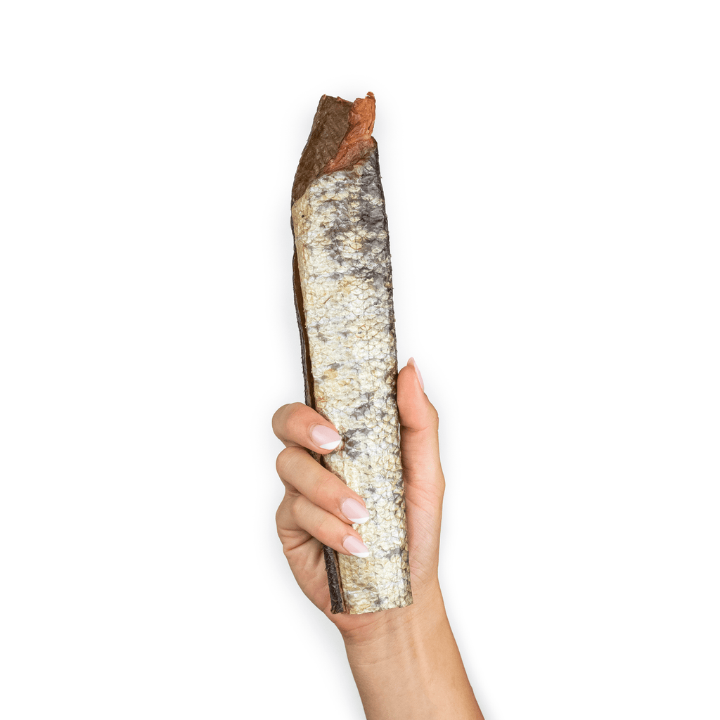 Peaux de saumon avec filet – 250g - aPETite Store