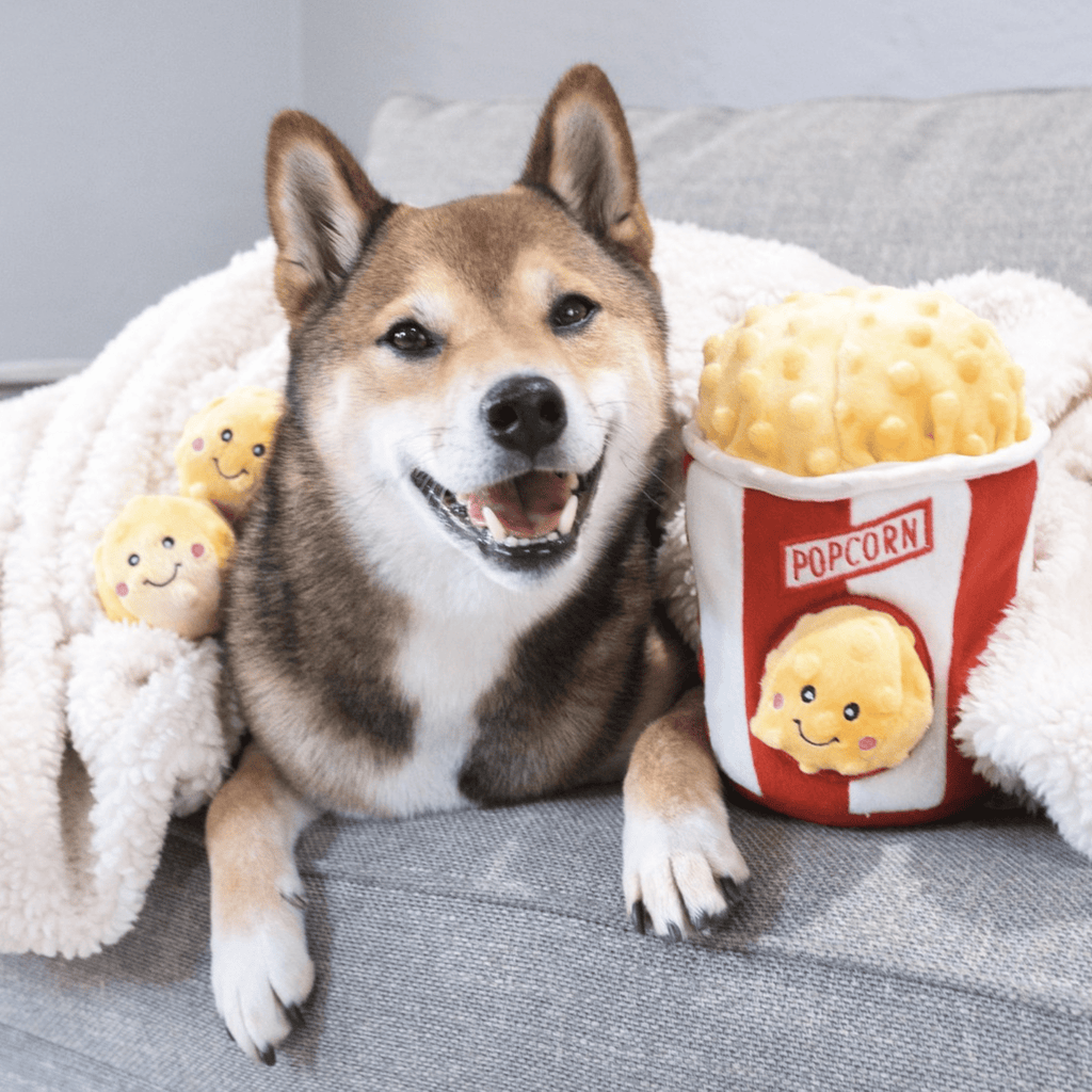jeu d occupation pour chien popcorn