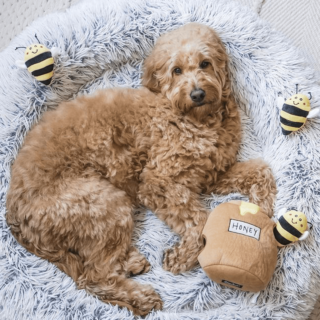 jouet pour chien miel
