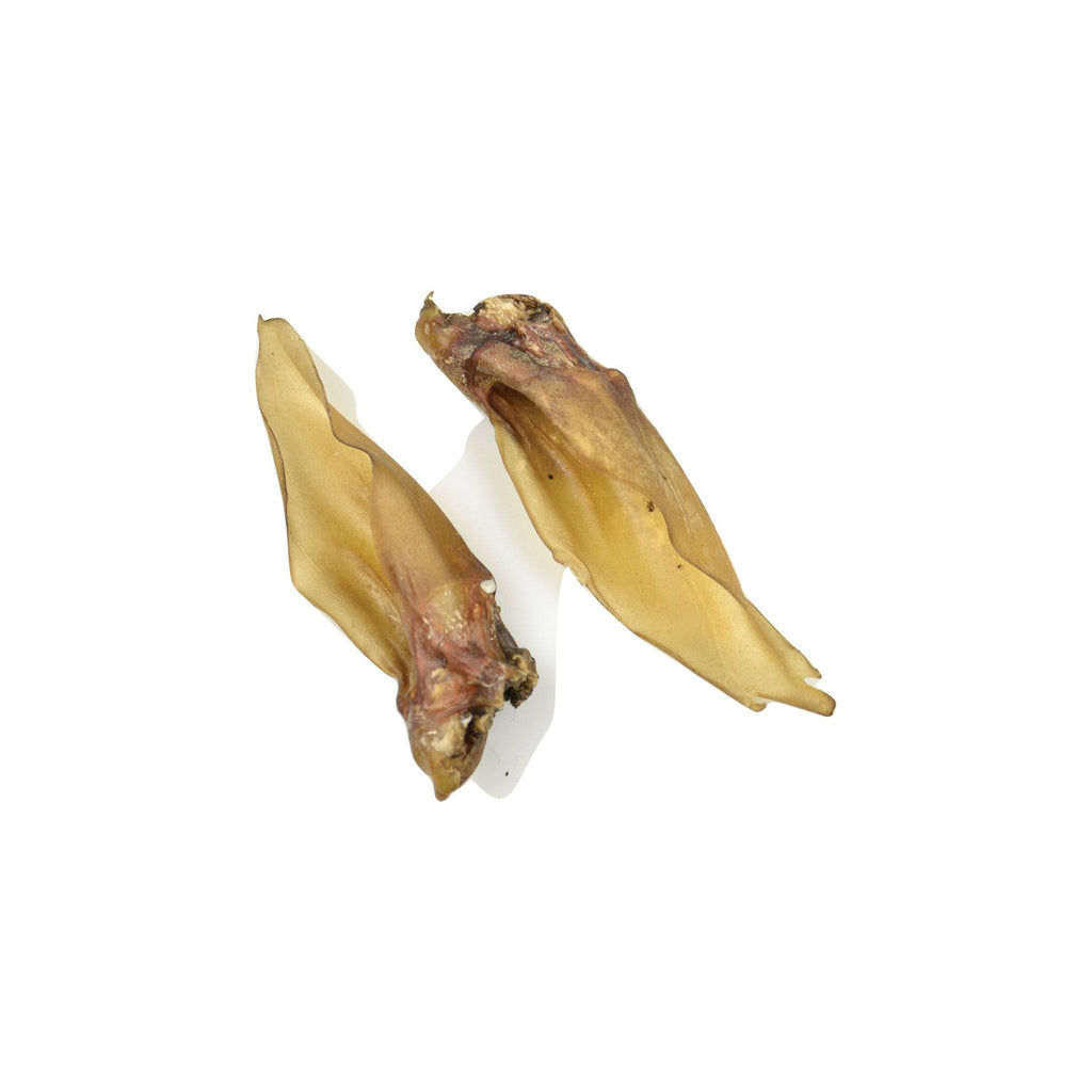 Oreille de chevreuil – 5 pièces - aPETite Store