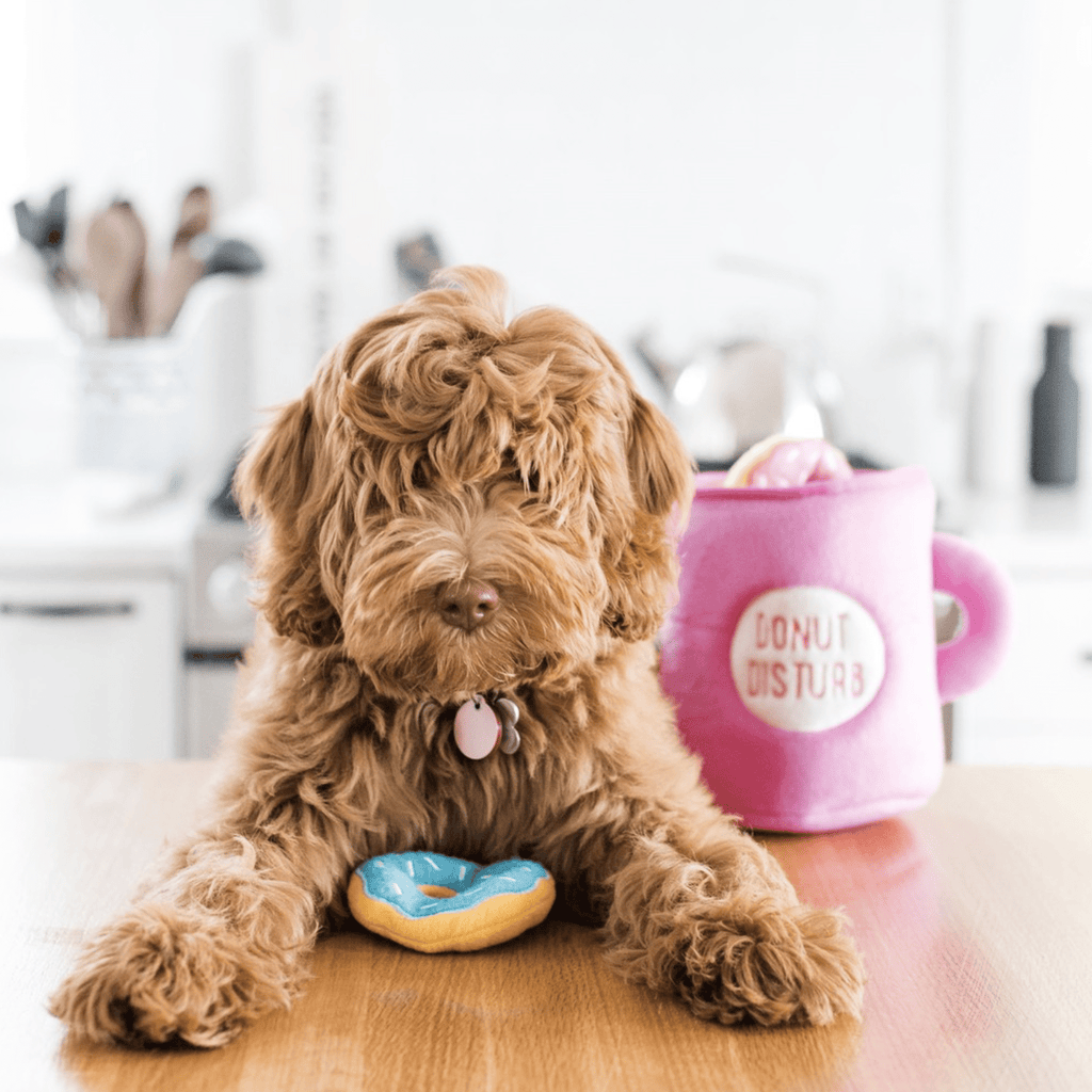 peluche donut pour chien