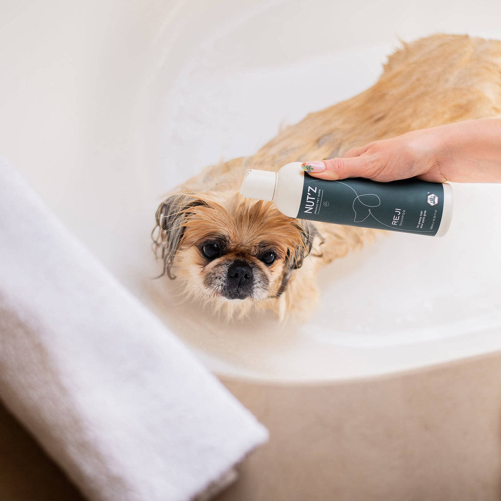 shampoing pour chien nutz reji